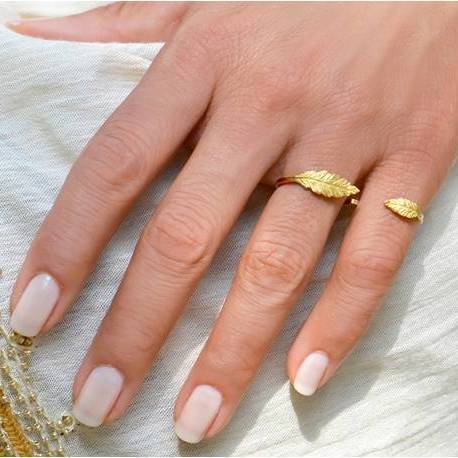 Double Spring Ring