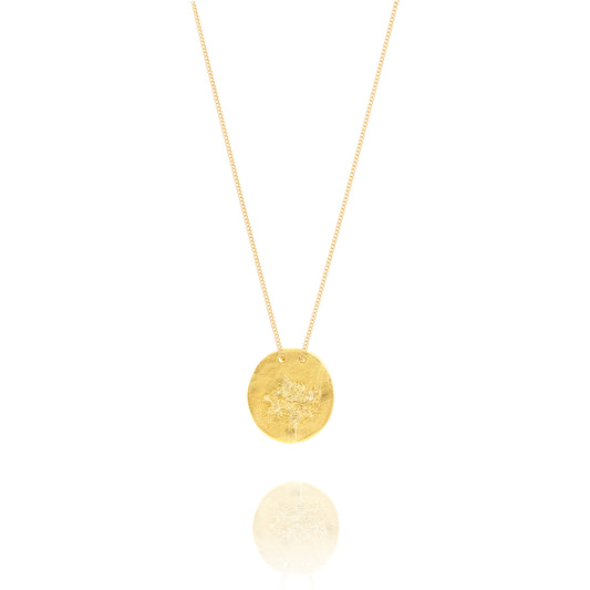 Golden Necklace X from Xarophyllum Back