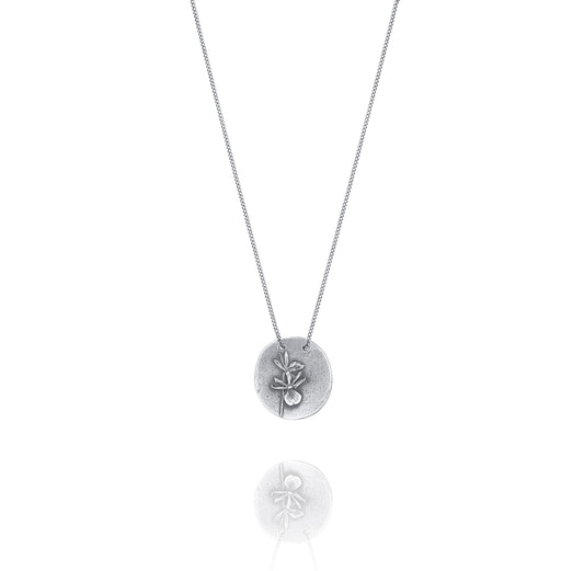 Silver Necklace Z from Zygosepalum Back