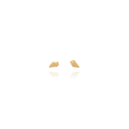 Conch Shells Earrings