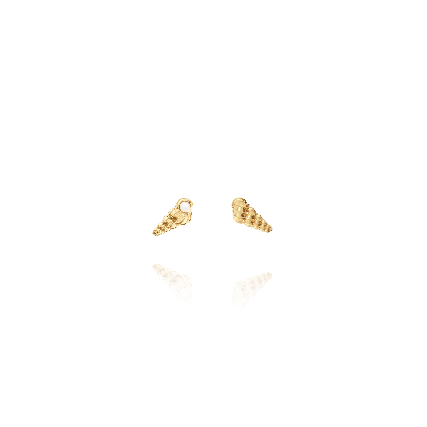Conch Shells Pearl Earrings