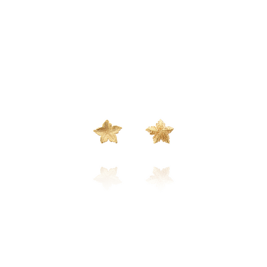 Starfish Earrings