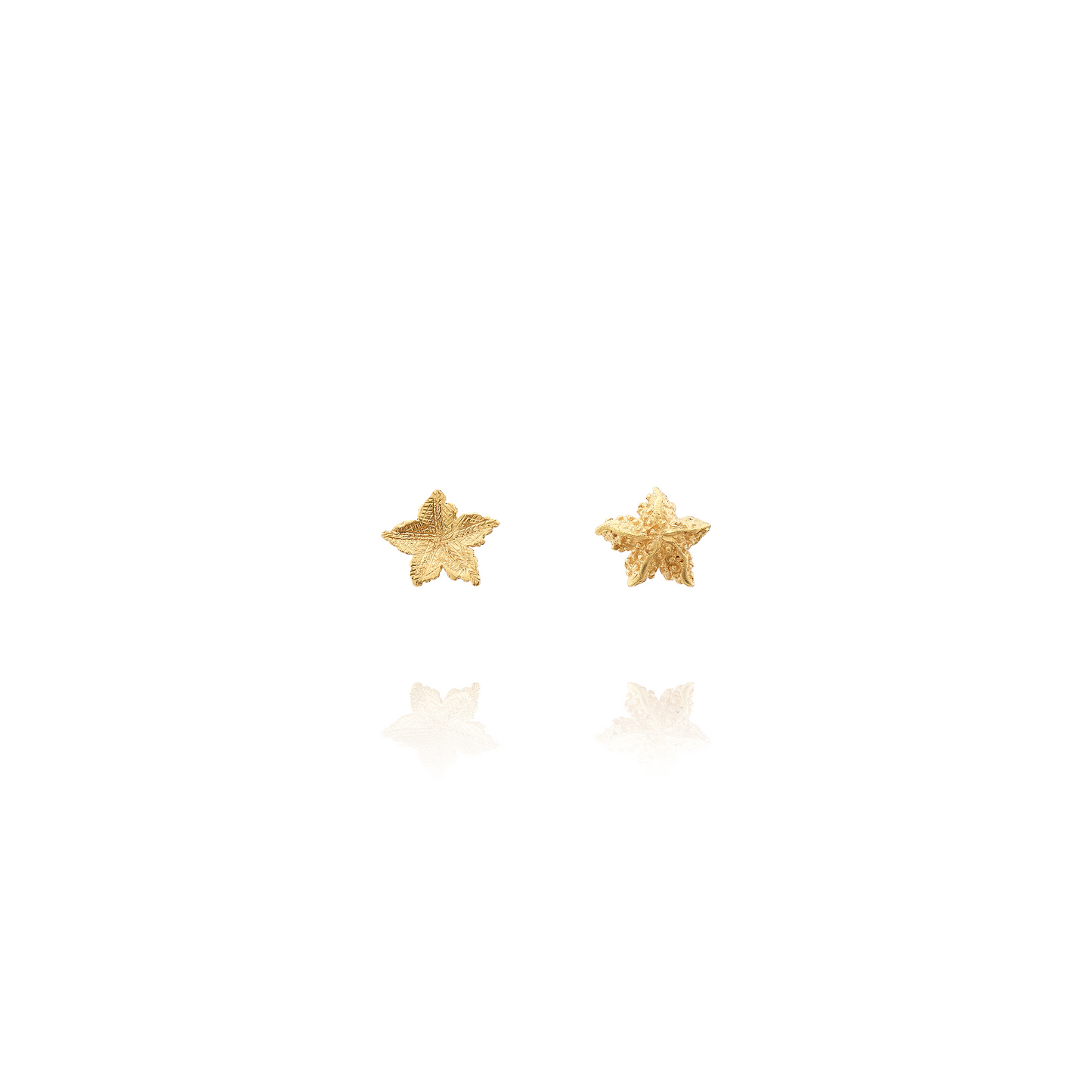 Starfish Earrings