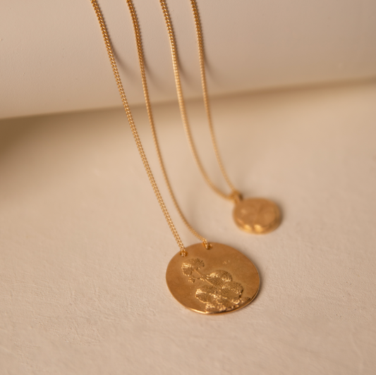 Golden D from Dente de leão