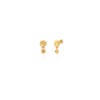 Rose Articulated Earrings - Parfum Collection