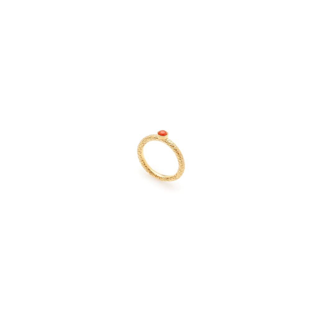Sea ring with coral