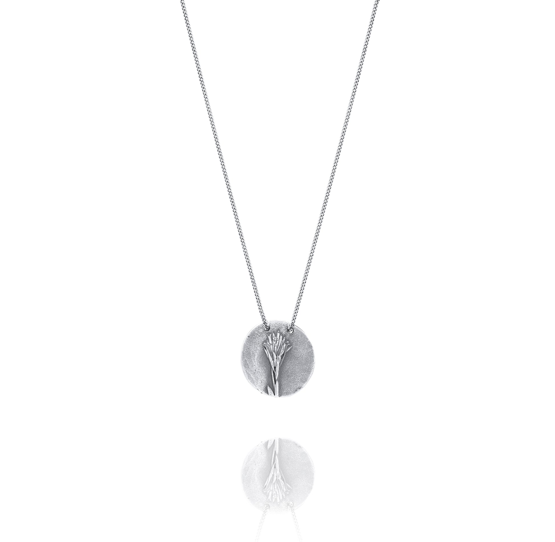 Silver Necklace Q from Quesnelia Back